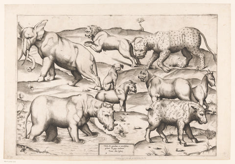 Negen dieren, Enea Vico (attributed to), 1547 - 1577 Canvas Print