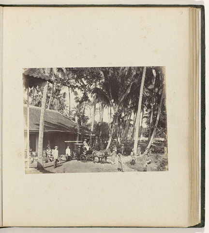 House under palms, Woodbury &Page, 1863 - 1866 Canvas Print