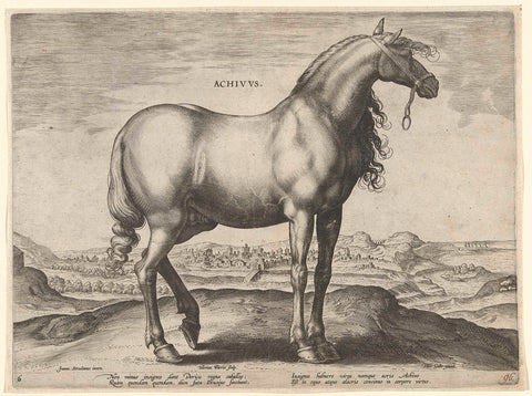 Horse from Greece (Achivus), Hieronymus Wierix, c. 1583 - c. 1587 Canvas Print