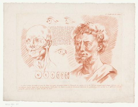 Two men's heads and eyes from different points of view, Jean François Janinet, 1762 - 1793 Canvas Print