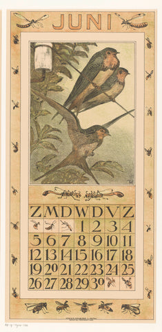 Calendar sheet June with swallows, Theo van Hoytema, 1909 Canvas Print