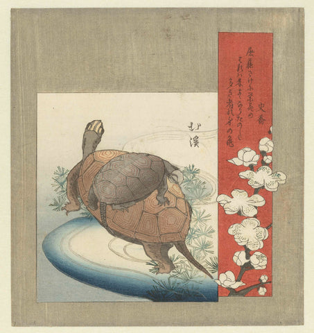 Turtles, Totoya Hokkei, c. 1826 Canvas Print