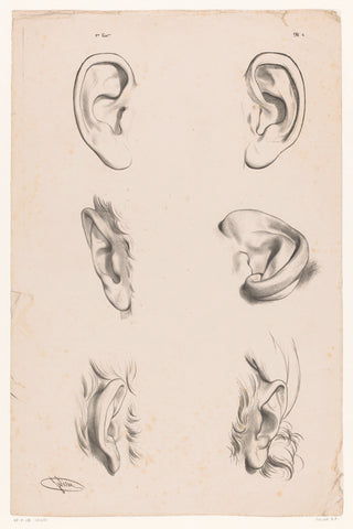 Six studies of ears in different sign stages, Bernard Romain Julien, 1836 - 1843 Canvas Print