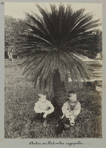 Anton and Piet under sago palm. (Tourtonne), Hendrik Doijer (attributed to), 1906 - 1913 Canvas Print