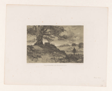 Landscape with boundary tree and boundary stone, Charles Rochussen, in or before 1858 - 1864 Canvas Print