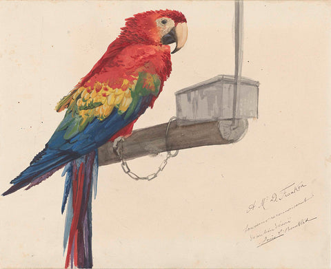 Parrot, Louis Charles Bombled, 1879 Canvas Print