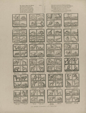 Zijn visschen, dieren, zo bekend, / Als vreemd uit elke element [(...)], J.A. Aldag, 1851 - 1880 Canvas Print