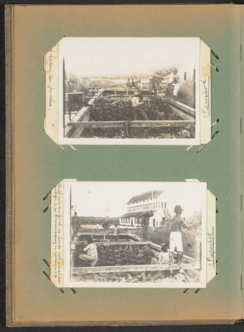 Loading of the banana bunches into a boat, anonymous, c. 1912 - c. 1913 Canvas Print