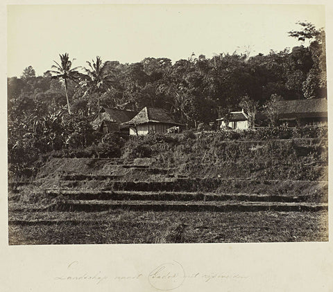 Landscape next to Gadok with rice fields, Woodbury & Page, 1863 - 1869 Canvas Print