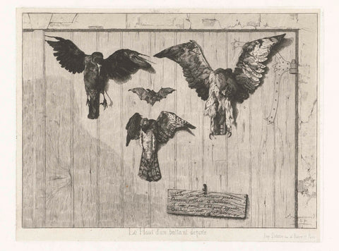 Three dead birds and bat nailed to door, Félix Bracquemond, 1852 Canvas Print