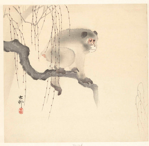 Monkey on tree branch, Ohara Koson, 1900 - 1930 Canvas Print