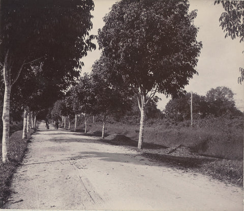 Road to the Culture Garden, Andries Augustus Boom, 1908 Canvas Print