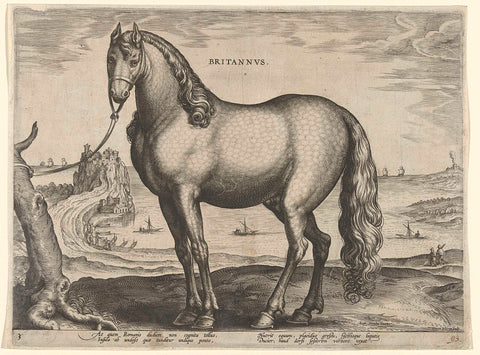 Horse from Brittany (Brittanus), Hieronymus Wierix, c. 1583 - c. 1587 Canvas Print