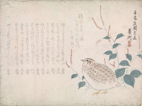 Quail, Chokko Roshû, 1864 Canvas Print