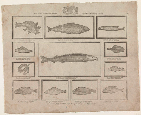 By fishes, shown in this print, The country's rivers are richly inhabited, Johannes Bouwer, 1805 - 1808 Canvas Print