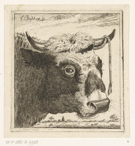 Head of bull with rope to hear, Cornelis Bisschop (1762-1829), 1777 - 1829 Canvas Print