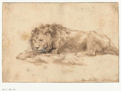 Reclining Lion, Rembrandt van Rijn (school of), c. 1650 Canvas Print