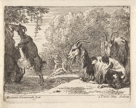 Goats, Herman van Swanevelt, 1643 - 1655 Canvas Print