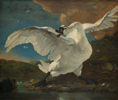 The Threatened Swan, Jan Asselijn, c. 1650 Canvas Print