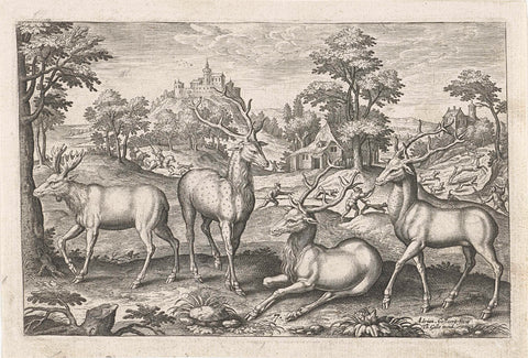 Deer, Adriaen Collaert, 1595 - 1633 Canvas Print