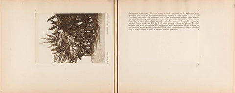 Pages 126 and 127 of photo book of the Algemeene Vereeniging of Rubber Planters on the East Coast of Sumatra (AVROS), JW Meyster, c. 1924 - c. 1925 Canvas Print