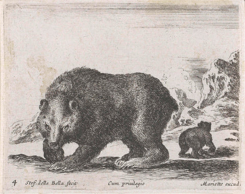 Two Bears, Stefano della Bella, 1620 - 1664 Canvas Print