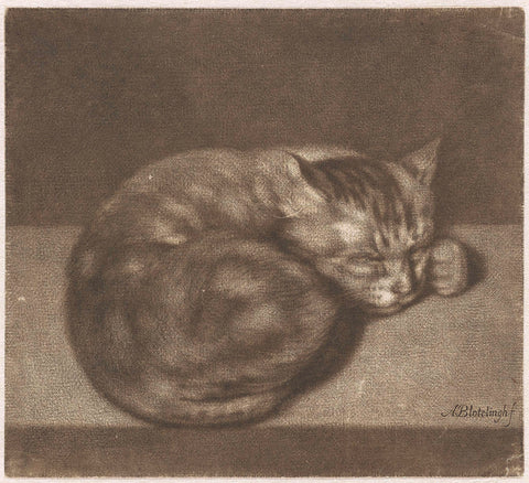 The Sleeping Cat, Abraham Bloteling, 1675 - 1690 Canvas Print