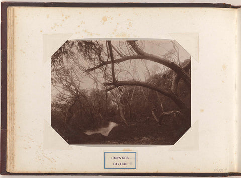 View of Hemp River in South Africa, anonymous, c. 1885 - c. 1910 Canvas Print