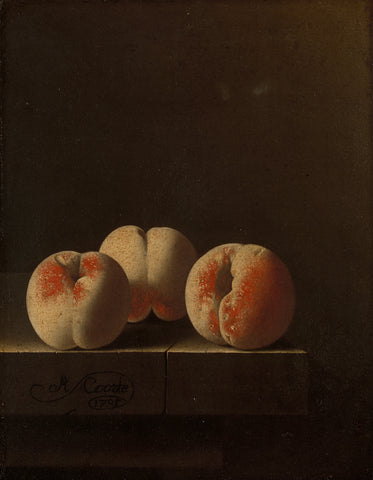 Three Peaches on a Stone Plinth, Adriaen Coorte, 1705 Canvas Print