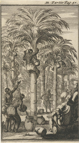 Obtaining palm wine in India, Jan Luyken, 1689 Canvas Print