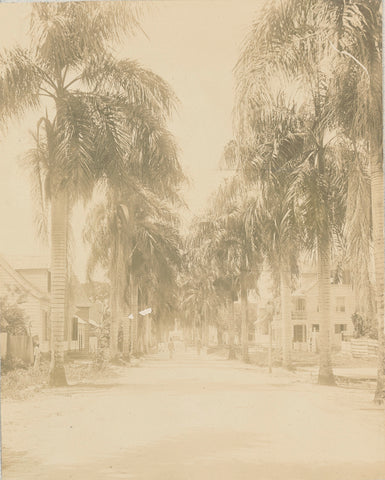 Jodenbreestraat in Paramaribo, Andries Augustus Boom, 1908 Canvas Print