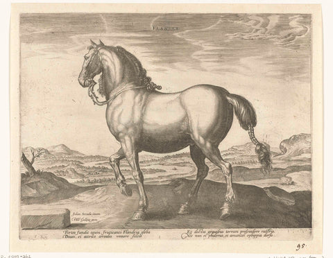 Horse from Flanders, Hendrick Goltzius (possibly), c. 1578 - c. 1582 Canvas Print