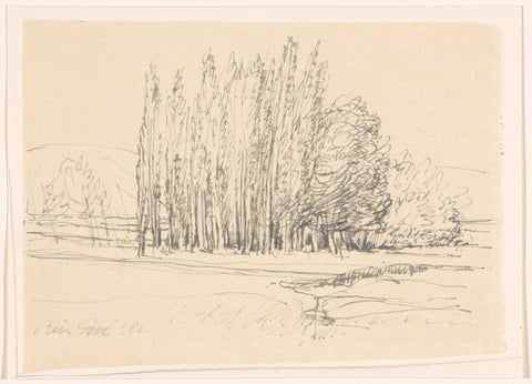 Poplars, France, Rein Dool, 1982 Canvas Print