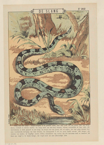 The Snake, Gordinne, 1894 - 1959 Canvas Print