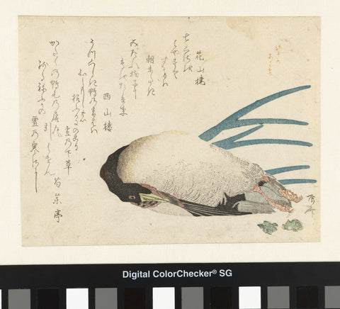 Leek in Light Snow, Ryûryûkyo Shinsai, c. 1810 - c. 1820 Canvas Print