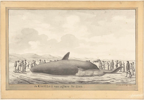 Washed up sperm whale at Egmond aan Zee, 1764, Vincent Jansz. van der Vinne, 1764 Canvas Print