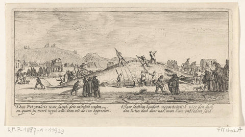 Whale stranded near Noordwijk, 1629, anonymous, 1629 Canvas Print