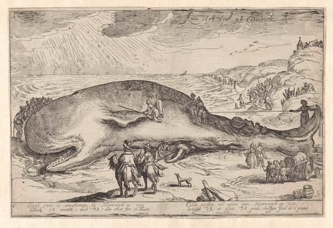 Whale stranded near Noordwijk aan Zee, 1614, anonymous, 1614 Canvas Print