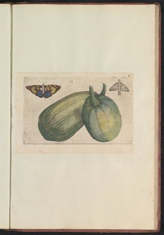 Two melons (Cucumis melo), anonymous, 1640 Canvas Print