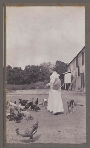 Feeding chickens, anonymous, 1912 Canvas Print