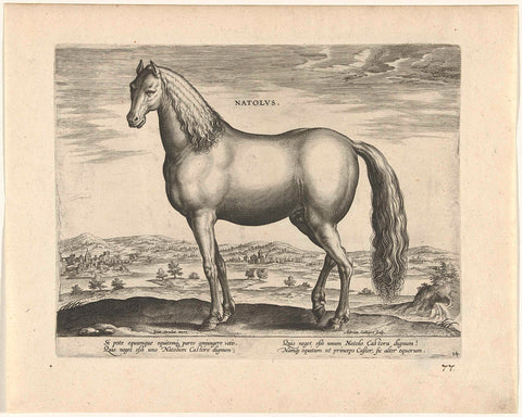Stallion from Anatolia, Adriaen Collaert, c. 1583 - c. 1587 Canvas Print