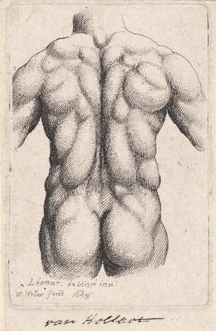 Anatomical study of the torso of a man, seen on the back, Wenceslaus Hollar, 1645 Canvas Print