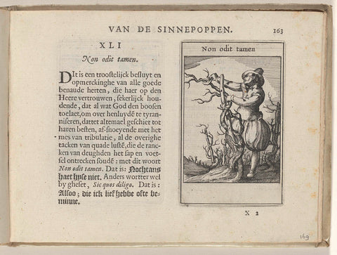 XLI Non odit tamen, Roemer Visscher, 1614 Canvas Print