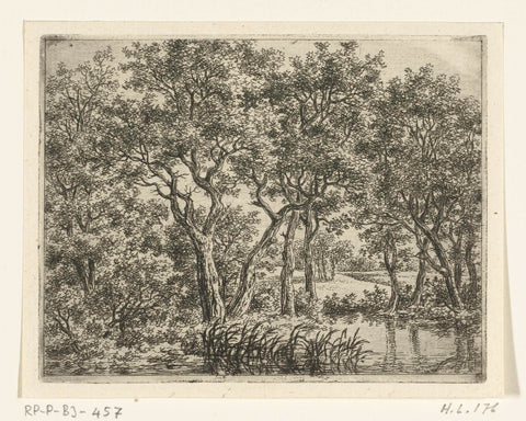 Forest landscape with pond, Ernst Willem Jan Bagelaar, 1798 - 1837 Canvas Print