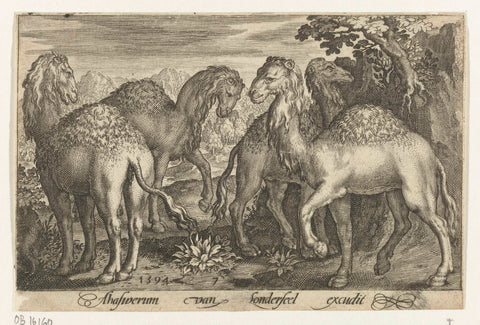 Four dromedaries, Nicolaes de Bruyn, 1594 Canvas Print