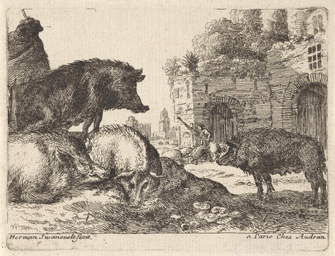 Pigs, Herman van Swanebert, 1643 - 1655 Canvas Print