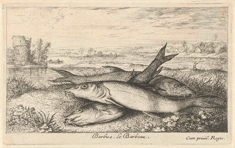 Three barbels on a riverbank, Albert Flamen, 1664 Canvas Print