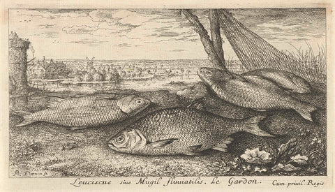 Four roach at a fishing net, Albert Flamen, 1664 Canvas Print