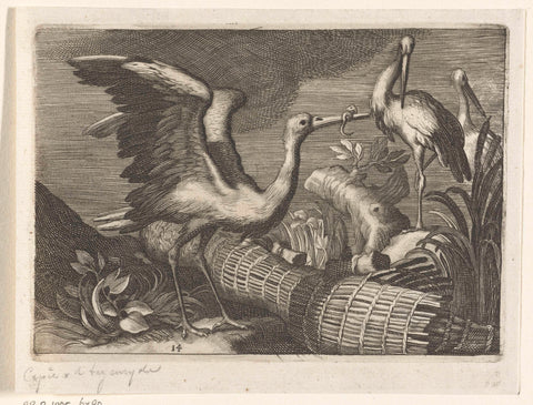 Storks, Boëtius Adamsz. Bolswert, 1611 - 1661 Canvas Print