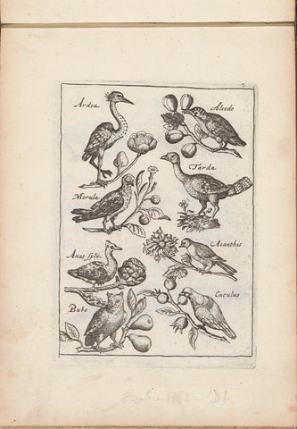 Heron, kingfisher and other birds, anonymous, 1635 - 1660 Canvas Print